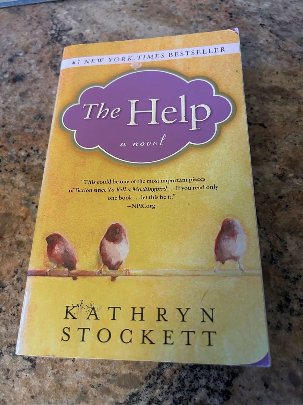 The Help by Kathryn Stockett - Yellow & Purple Paperback Novel